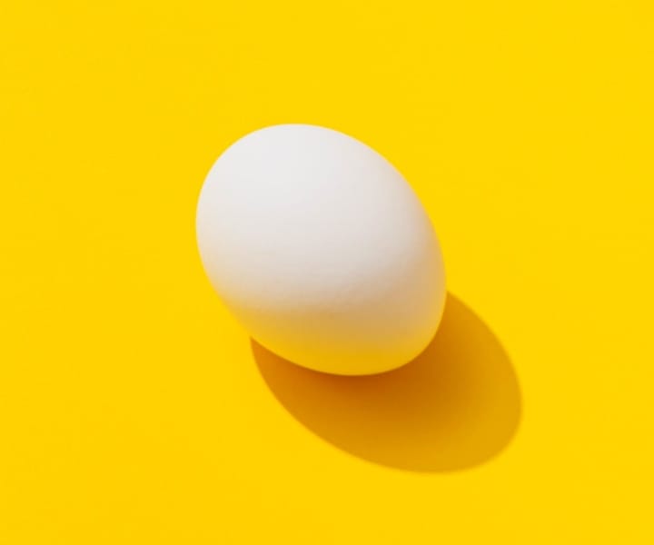 One egg with a yellow background